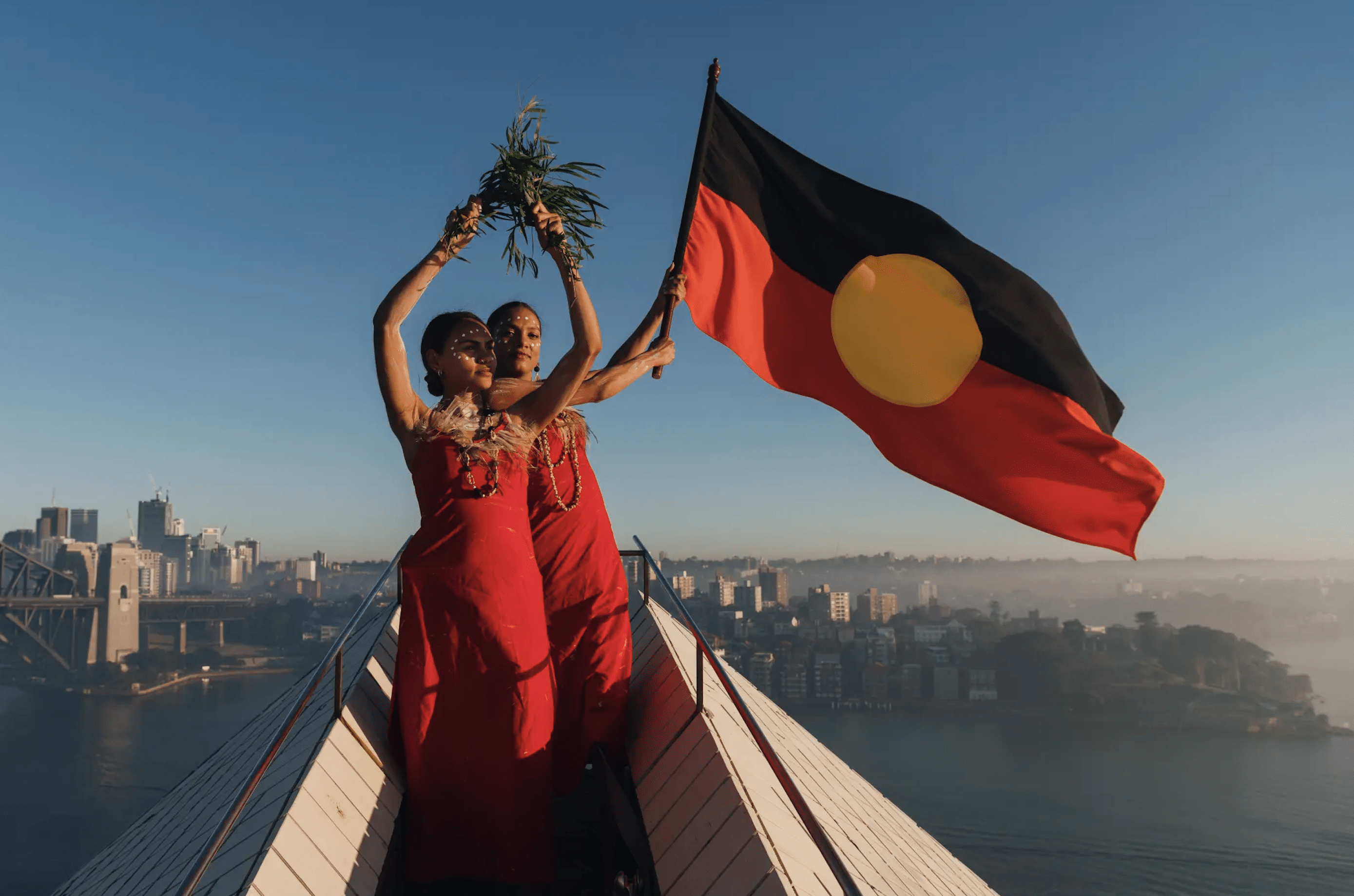 Unfurling The Tapestry Of Identity: A Journey Through Indigenous Flags